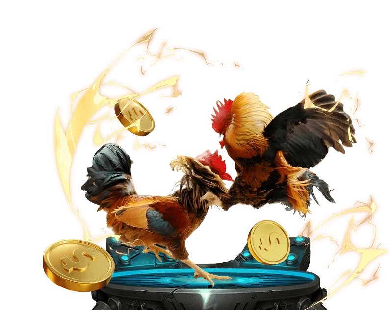 Trực tiếp đá gà Thomo 2026 với hình ảnh sắc nét